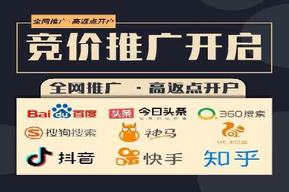深度解析：百度推广费用与ROI的关联案例